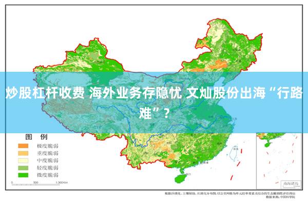 炒股杠杆收费 海外业务存隐忧 文灿股份出海“行路难”？