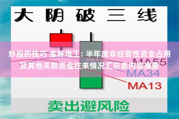 炒股的技巧 金杯电工: 半年度非经营性资金占用及其他关联资金往来情况汇总表内容摘要