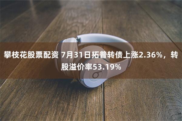 攀枝花股票配资 7月31日拓普转债上涨2.36%，转股溢价率53.19%