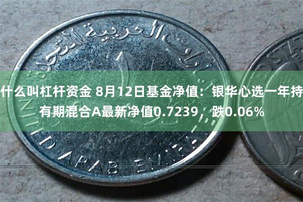 什么叫杠杆资金 8月12日基金净值：银华心选一年持有期混合A最新净值0.7239，跌0.06%