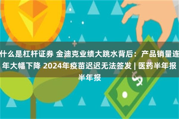 什么是杠杆证券 金迪克业绩大跳水背后：产品销量连年大幅下降 2024年疫苗迟迟无法签发 | 医药半年报