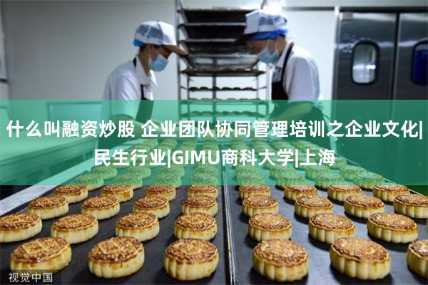 什么叫融资炒股 企业团队协同管理培训之企业文化|民生行业|GIMU商科大学|上海