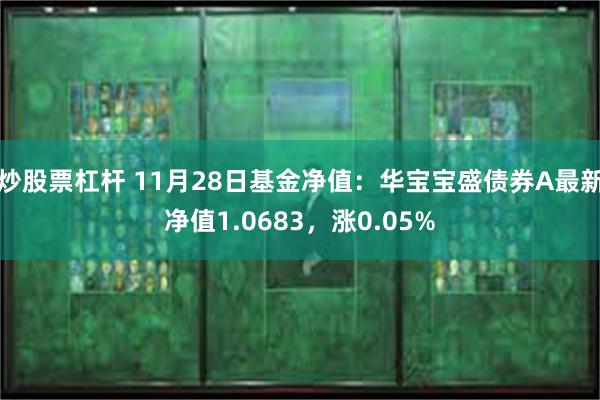 炒股票杠杆 11月28日基金净值：华宝宝盛债券A最新净值1.0683，涨0.05%