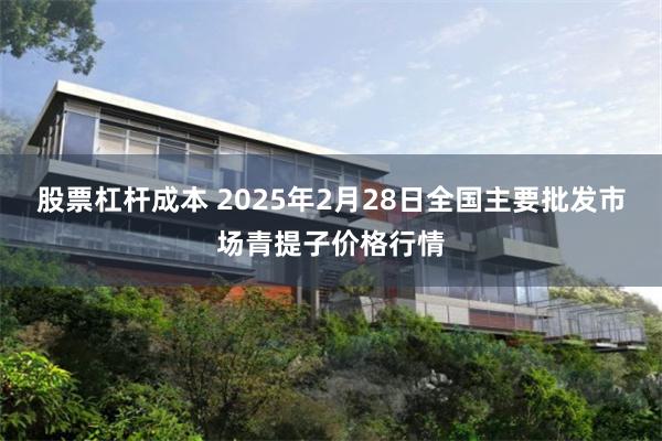 股票杠杆成本 2025年2月28日全国主要批发市场青提子价格行情